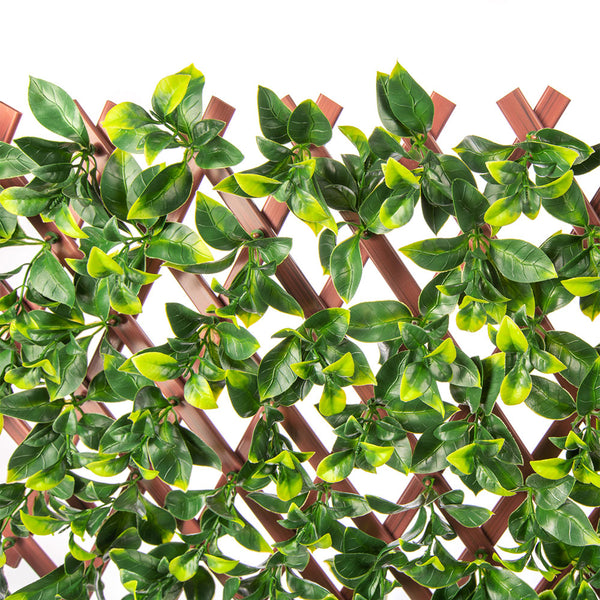 Jasmine Artificial Hedge Extendable Trellis / Screen 2 Meter By 1 Meter UV Resistant (PVC)